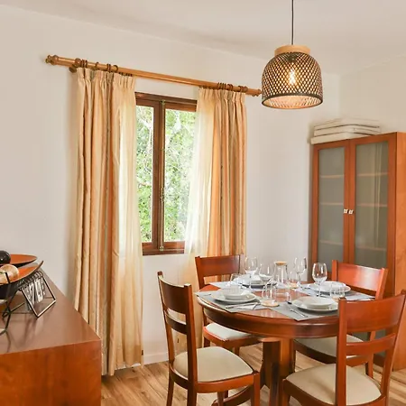 Vitalia In * Machico (Madeira)