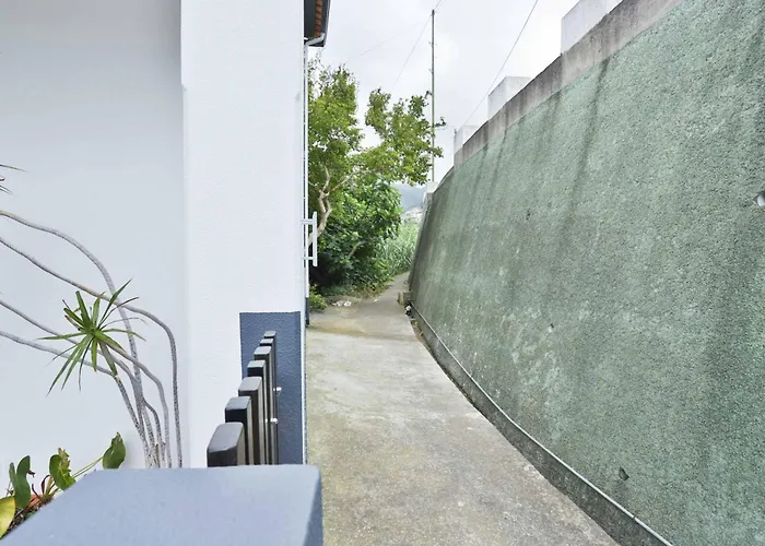 Vitalia In * ماتشيكو